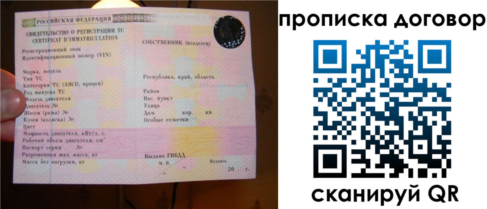 временная регистрация поиск в Амурской области